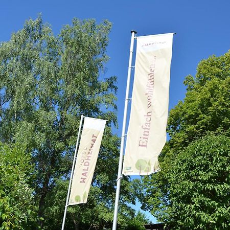Hotel Waldheimat Gallneukirchen Экстерьер фото